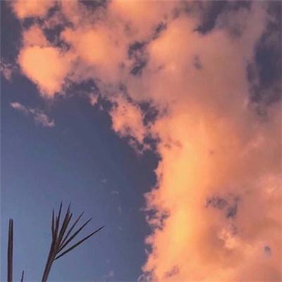 皇冠体育手机版软件