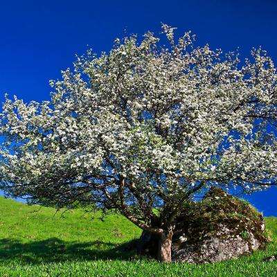 leyu·乐鱼(中国)体育官方网站app下载