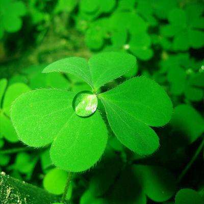 BB贝博平台登录app