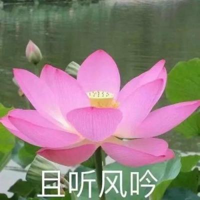 博鱼综合体育官方网站入口