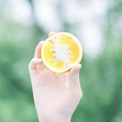 乐鱼APP手机app下载