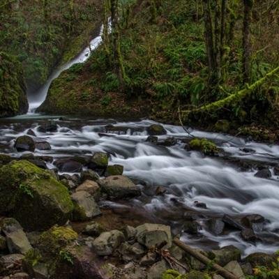 万博max体育注册